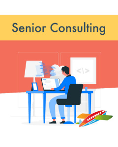 Senior Consulting